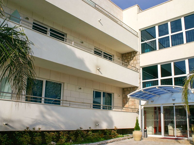 Importanne Royal Palm 2