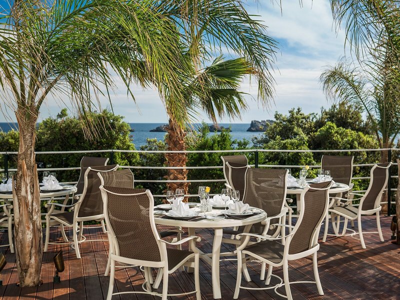 Importanne Royal Palm 20