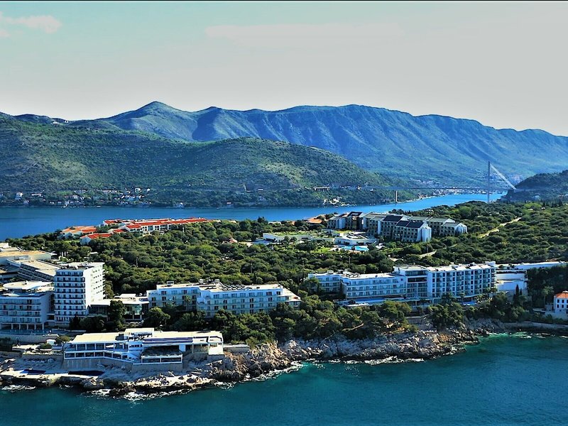 Importanne Royal Palm 3