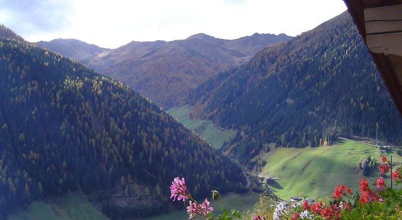 Gutwenger Ferienwohnungen & Almhütten 5