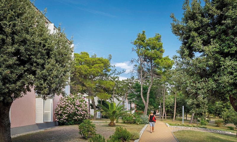 San Marino Sunny Resort by Valamar - Family Hotel Lopar 6