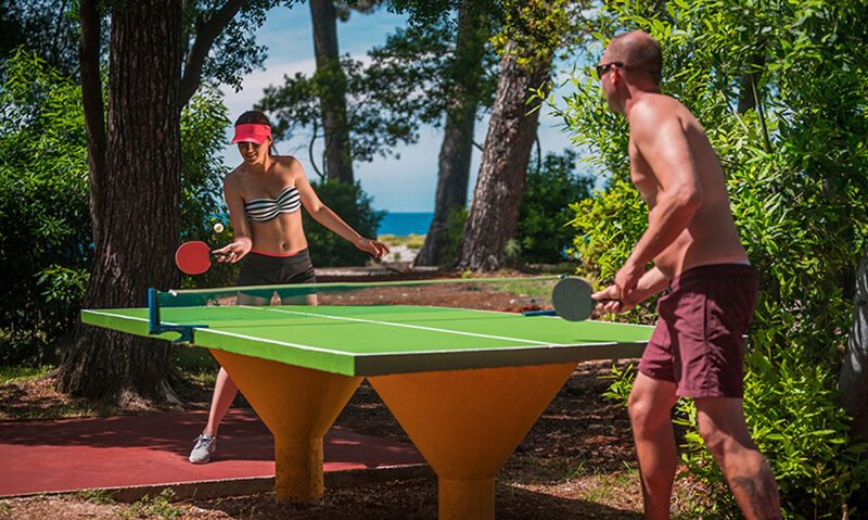 San Marino Sunny Resort by Valamar - Family Hotel Plaza 29 - Sports and leisure