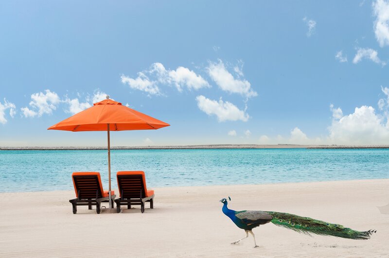 JA Jebel Ali Beach Hotel 13
