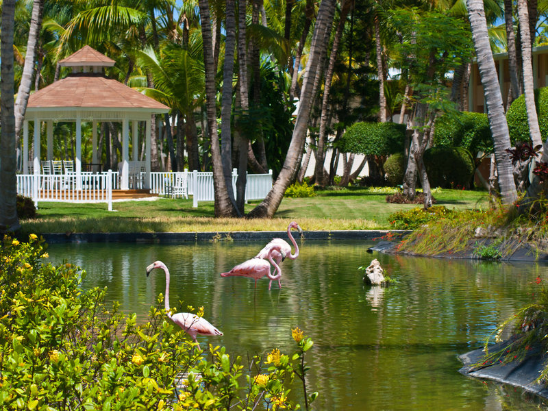 Catalonia Bavaro Resort - Bavaro Beach Golf & Casino 19