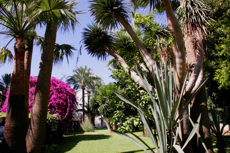 Hotel Apartamentos Bajondillo 6