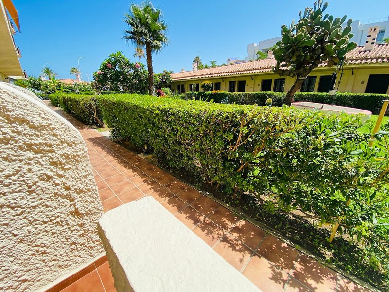 Hotel Los Jazmines 49