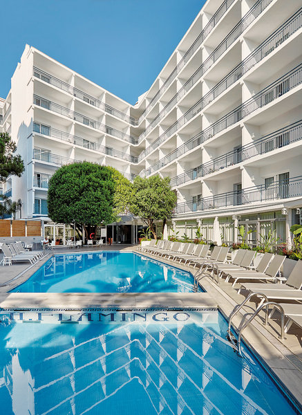 Gran Hotel Flamingo 1