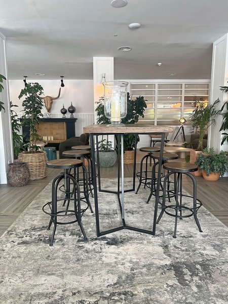 Gran Hotel Flamingo 20