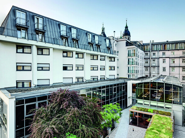 Grauer Bär Innsbruck