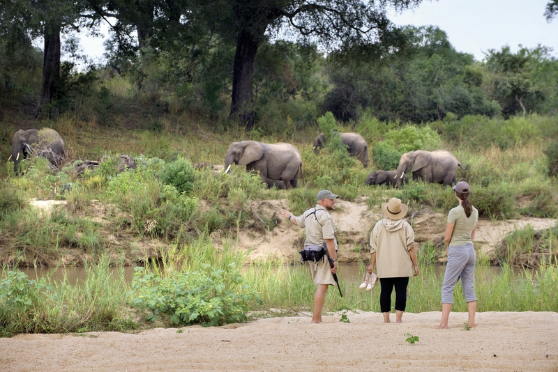 Dulini Private Game Reserve 23