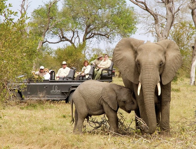 Dulini Private Game Reserve 26
