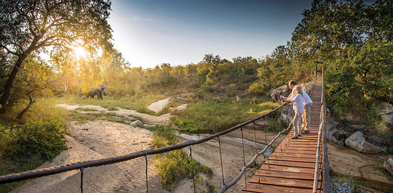 Dulini Private Game Reserve 34