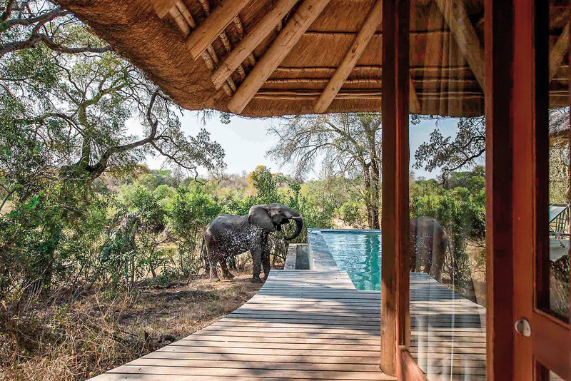Dulini Private Game Reserve 38