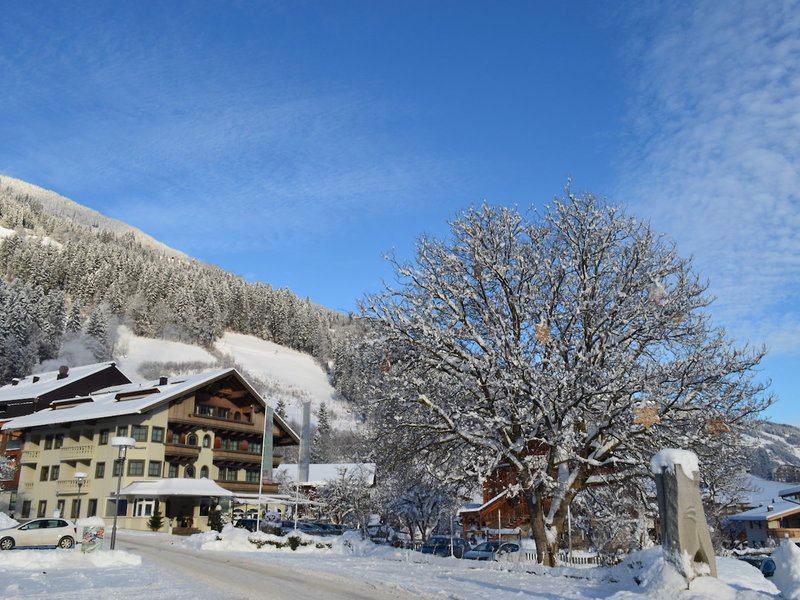 Ferienhotel Neuwirt 1