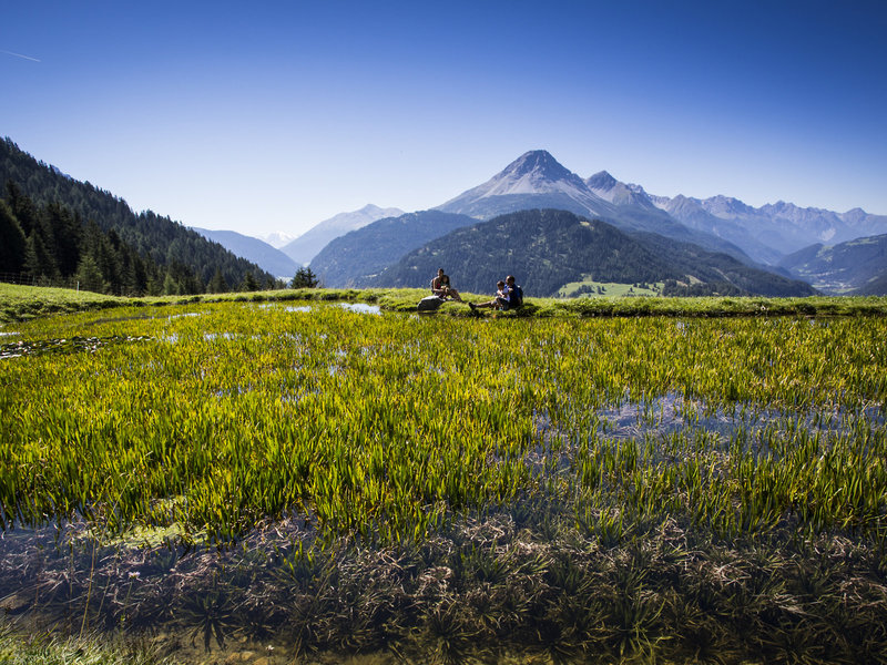 Alpin ART & SPA Hotel Naudererhof  7