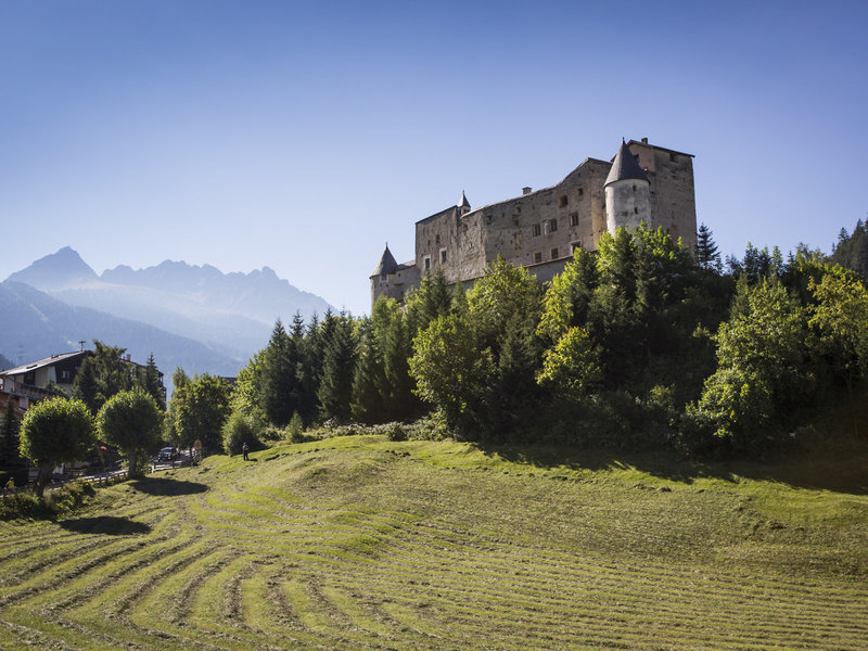 Alpin ART & SPA Hotel Naudererhof  8