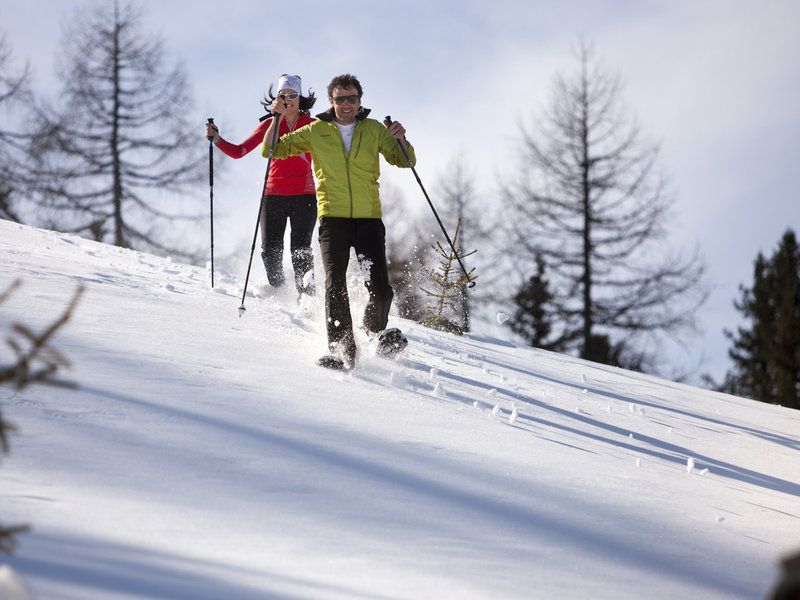 Alpin ART & SPA Hotel Naudererhof  13