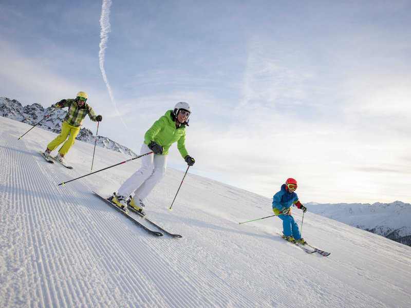Alpin ART & SPA Hotel Naudererhof  14