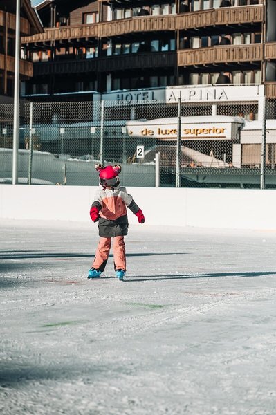 Alpina Deluxe & Nebenhaus Sonnberg 5