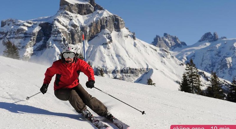 H+ Hotel & SPA Engelberg 3