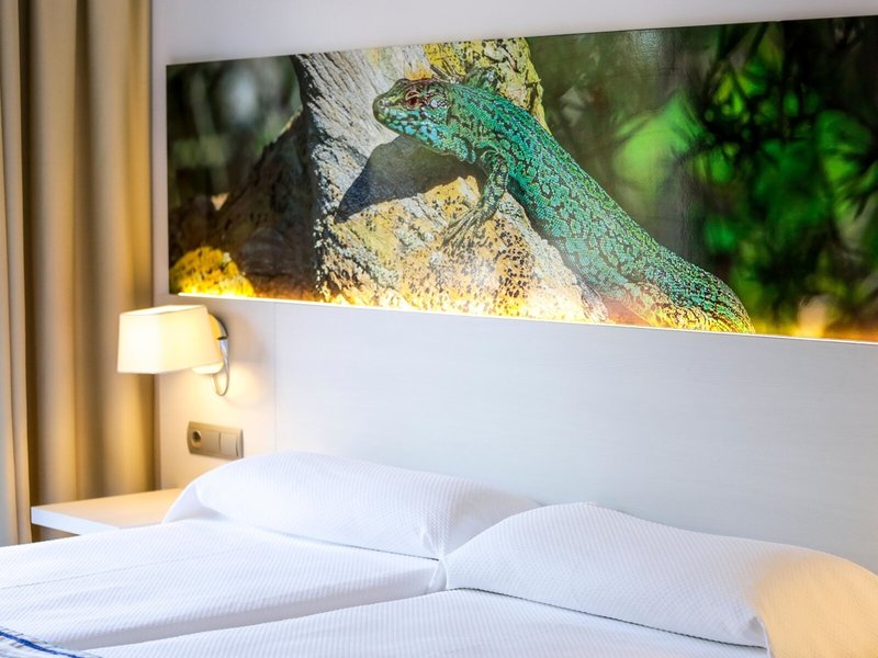 COOEE Los Rosales 49