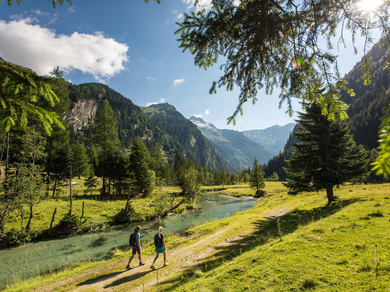 Ferienhotel Alber Mallnitz Alpenhotel & Tauernhof 39