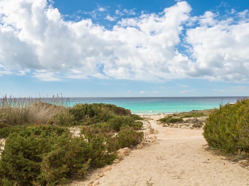 Dunas de Formentera 4