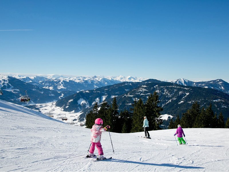 Schwaiger 7