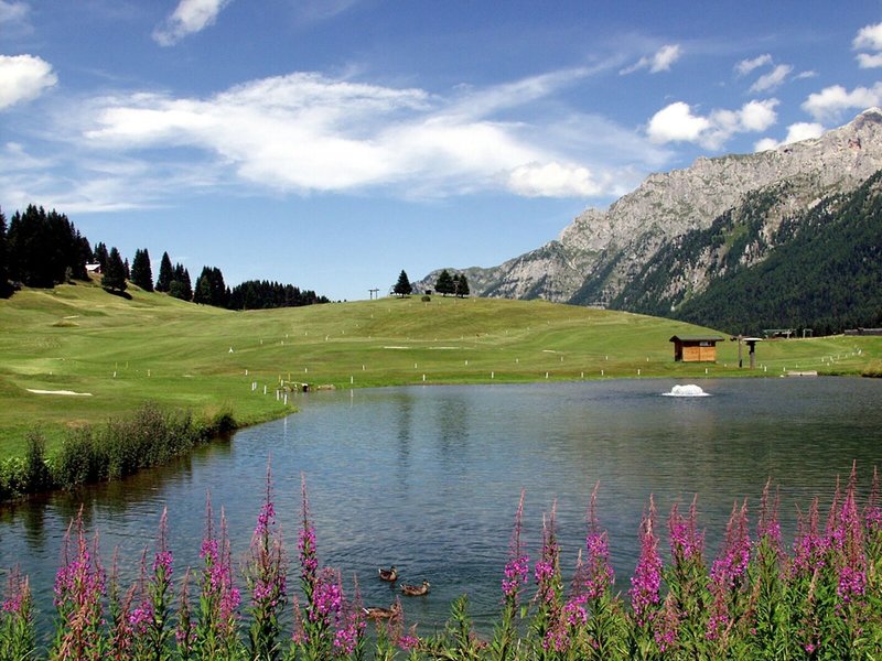Spinale 34