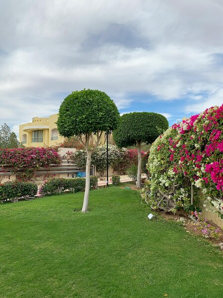 Grand Oasis Resort 33