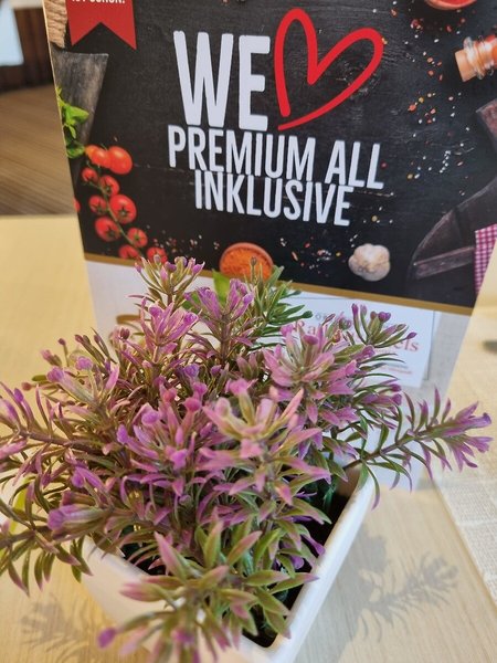 Genusshotel Rathaushotels - Rathaus & Keilberg 22