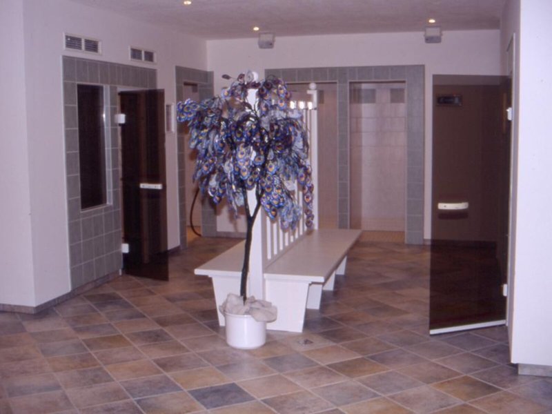 Hotel Edelweiss 14