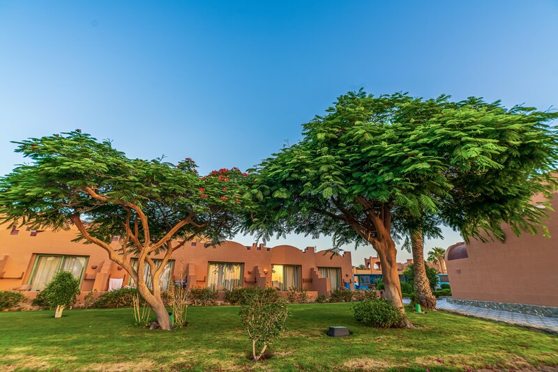 Club Calimera Akassia Swiss Resort 53