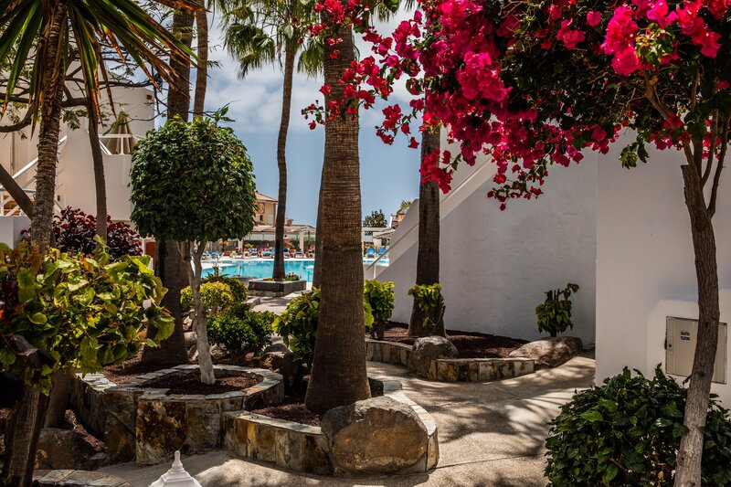 Bahia Calma & Las Pardelas 22