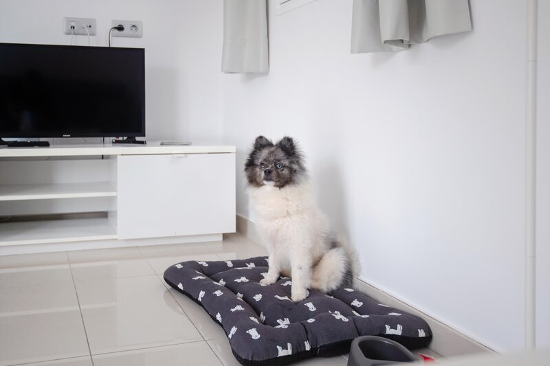 Bahia Calma & Las Pardelas 57