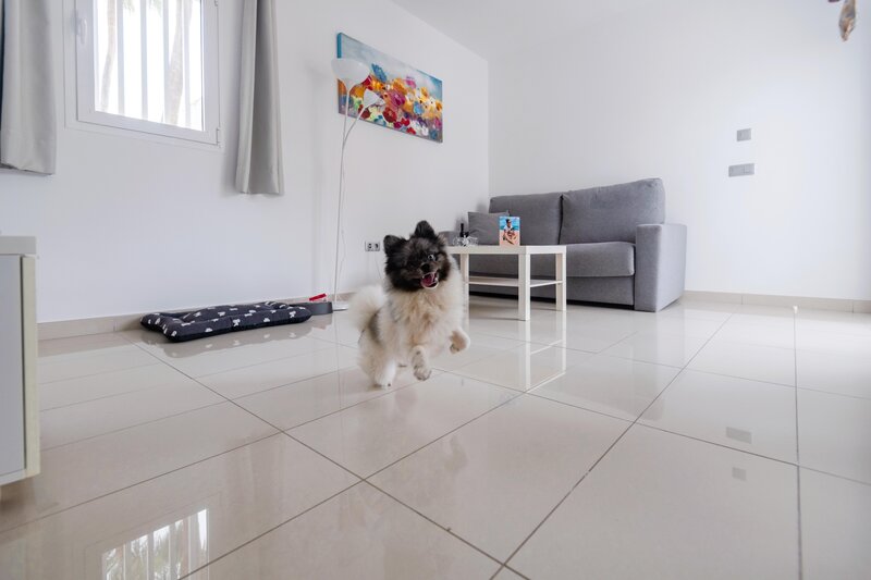 Bahia Calma & Las Pardelas 58