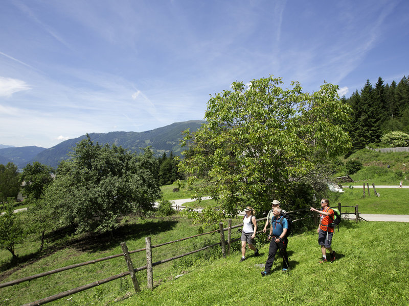 ROBINSON CLUB LANDSKRON 33