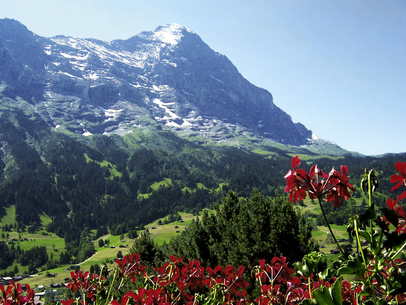 Jungfrau Lodge, Swiss Mountain Hotel 6