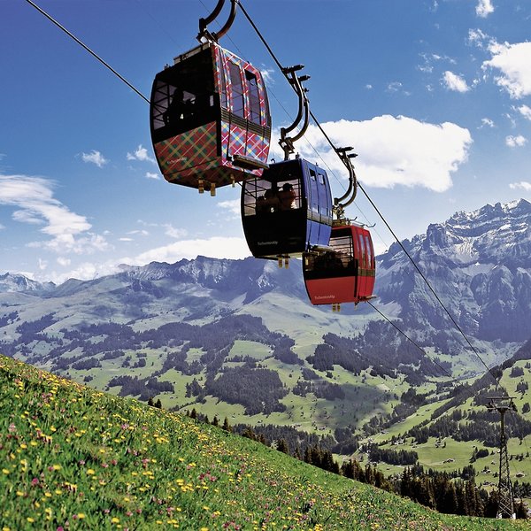 Steinmattli 17