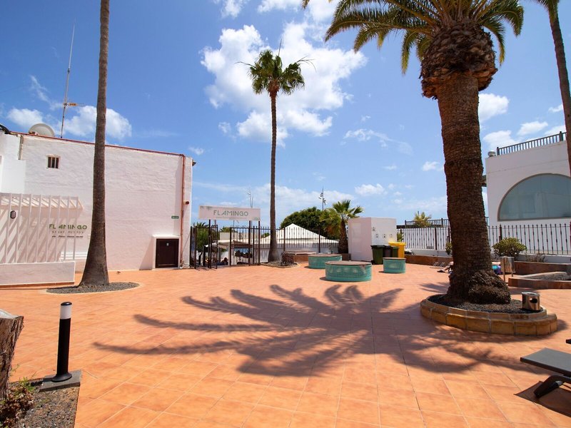 Apartments Flamingo 1