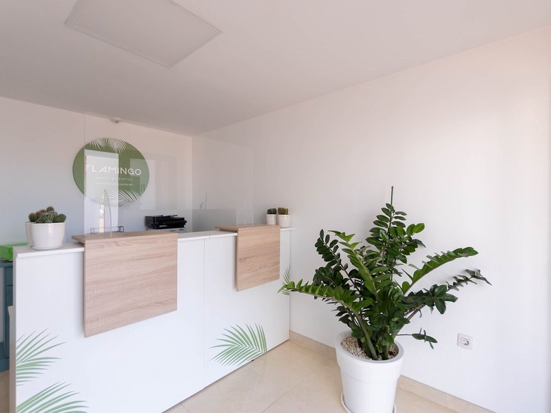 Apartments Flamingo 24