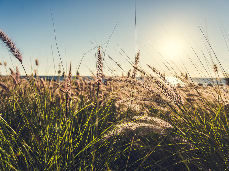 Paradis Plage Resort 14