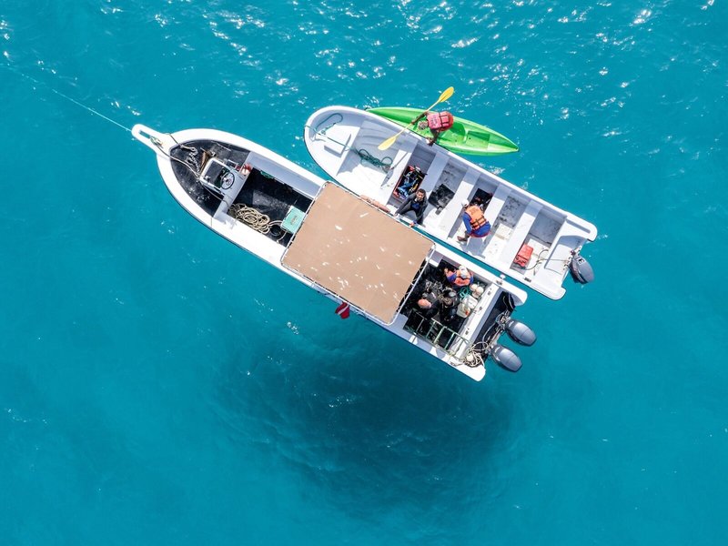 Hotel Riu Cabo Verde 48