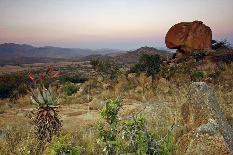Nkomazi Game Reserve 12