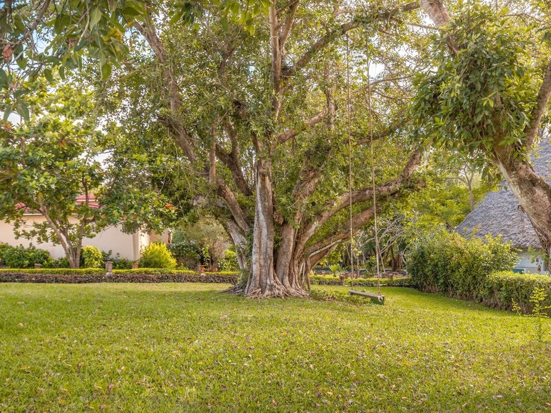 Kiwengwa Beach Resort 25