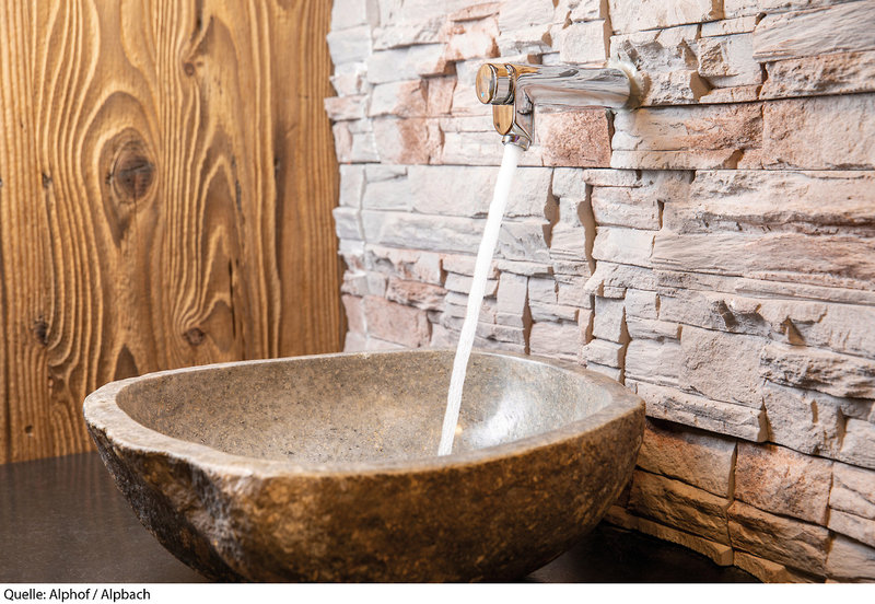 Alphof Alpbachtal 19