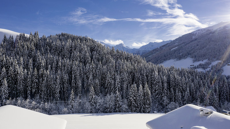 Alphof Alpbachtal 25
