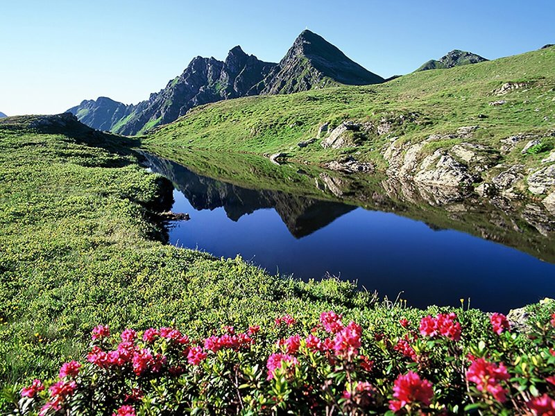 Alphof Alpbachtal 7