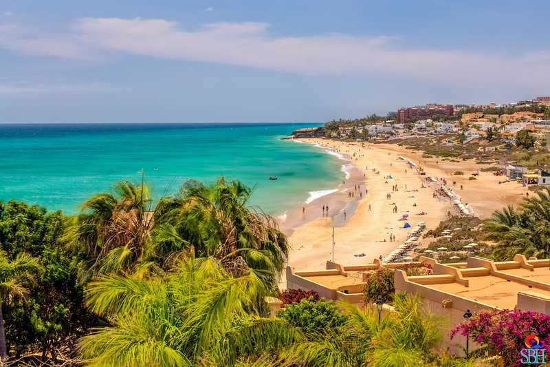 SBH Hotel Taro Beach 3