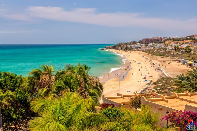 SBH Hotel Taro Beach 6